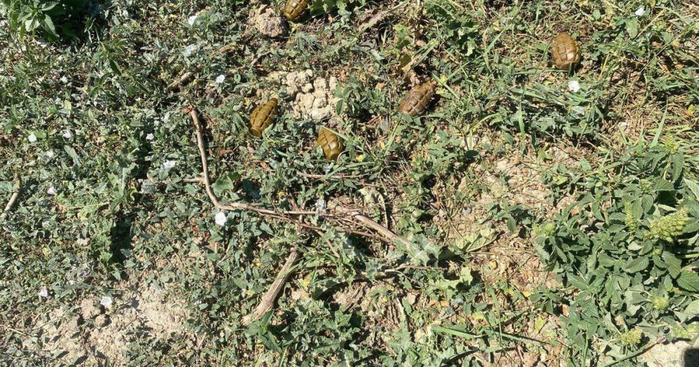 � ���������� ������ � �������� ���������� ������� � ����