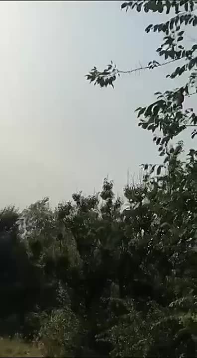 ����� ��������: �������� � �������.. � ���������� ������� ������� ����������� ������ � ����������