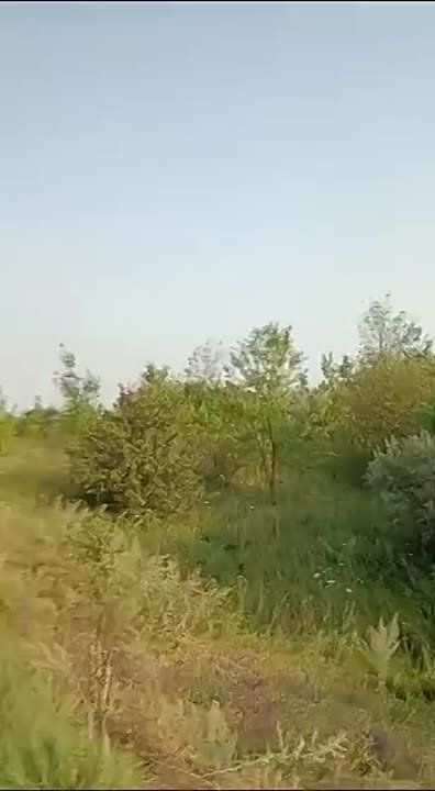 � ����� ������, � ������� ��������..