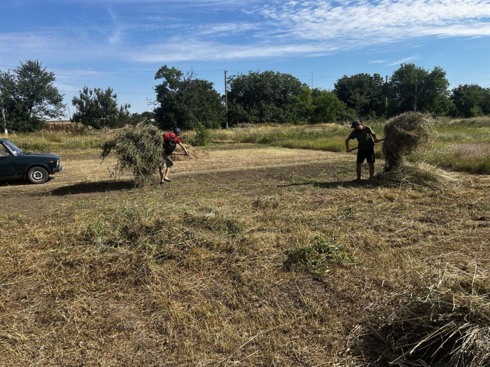 ��������������� ���������� ������� ����������� �������������� ������ ������������