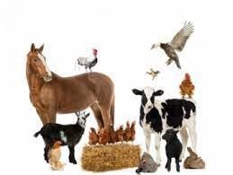 � ���������� ������� �������������������� � �������� �������� ����������� ������ ���������, ��������� ���� � �������� ������