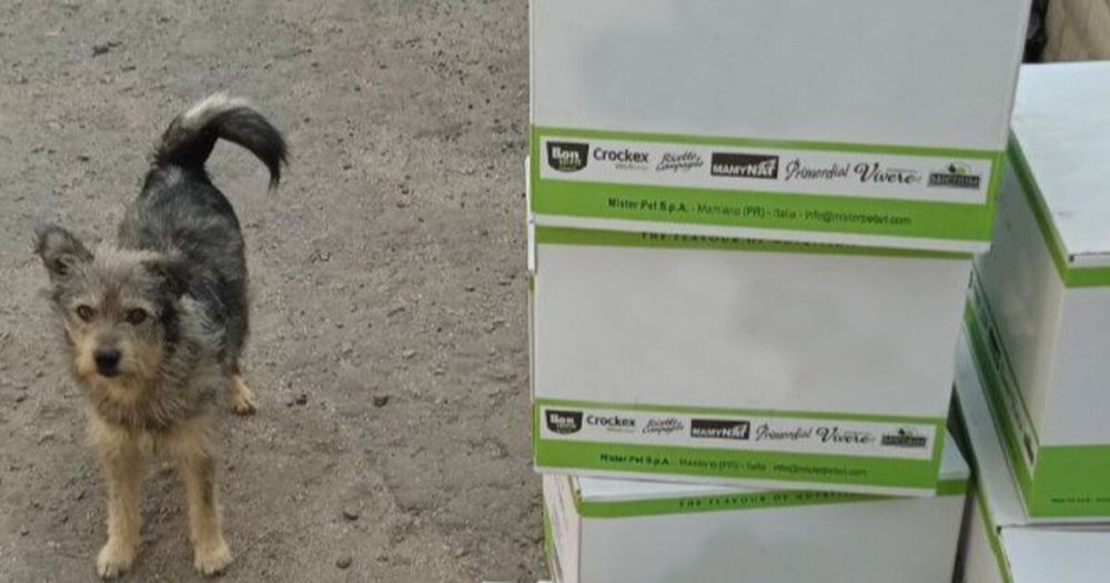 ������������ �� ���������� �������� � ���������� ������� �������� ����