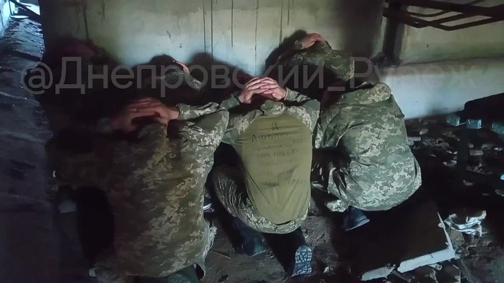 ���� ������� ����������� "�����" � ���������� �������, ����� �� ������� ���������, ����� ���� � ���������� ��������, ���������� � ������