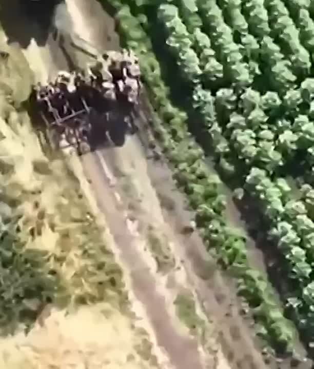 ���������� �������������� ��������� ������ ������������� �� �������� ������� �������, ��� ������������ �������