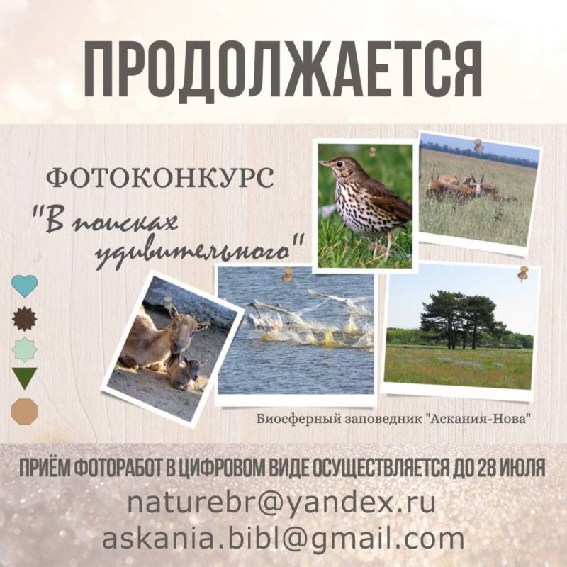 ������������ ����������� �� ������� �������������