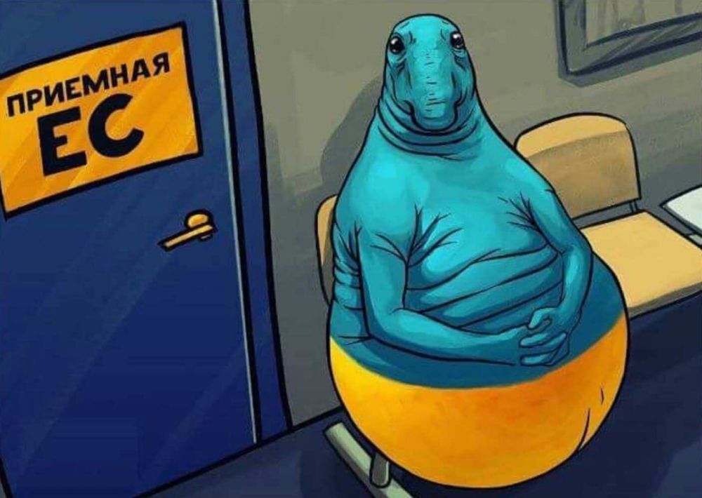 ���-��� ������������ �������: ������ ����������