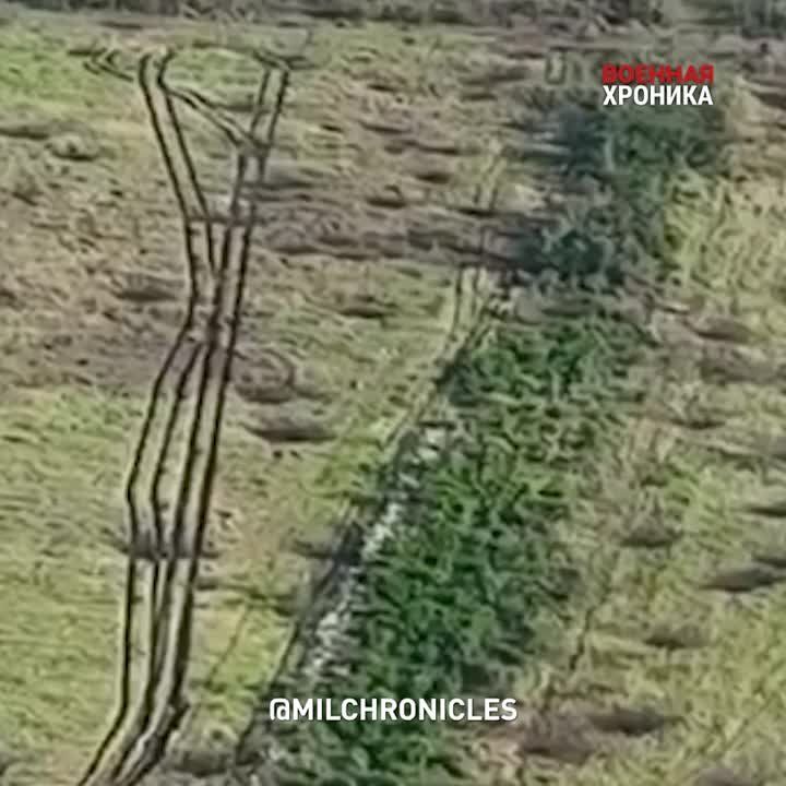 ��������, ��� � ��������� ���������� ����� �������� ������������� ���