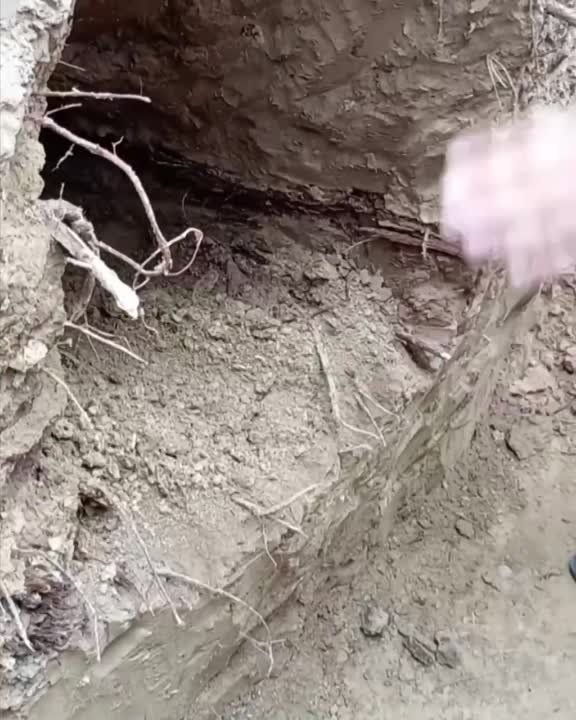 �������������� �� �� ���������� ������� ������� ��������� ������, ���������� �� ������ ������ � ����������