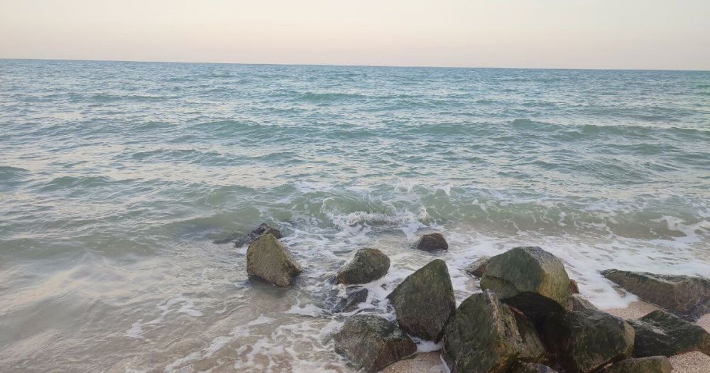 �� �������� � ������ ����� � ���������� ������� ���������� �����