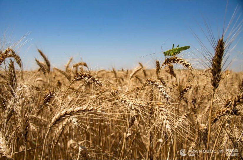 ������ �� ����� ����������� ������