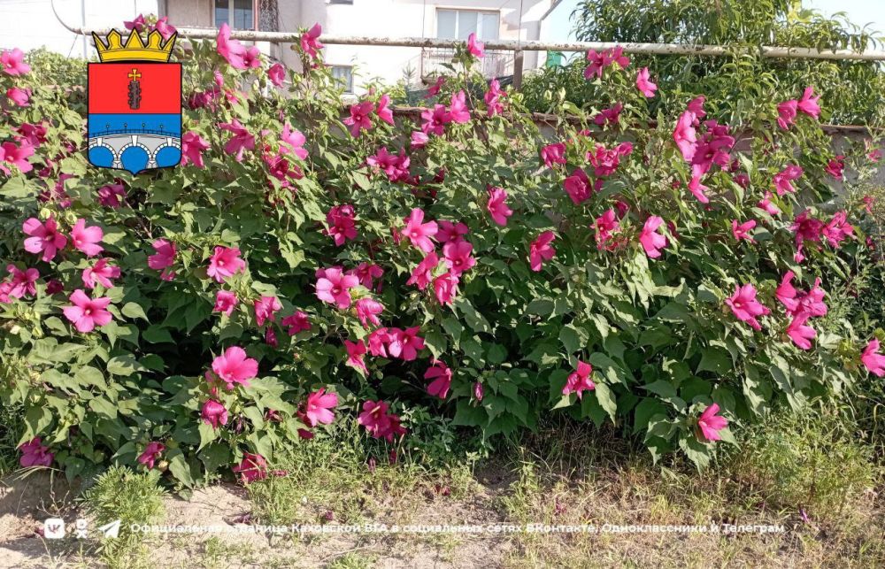 ������ ����, �������!. @VGA_Kakhovka