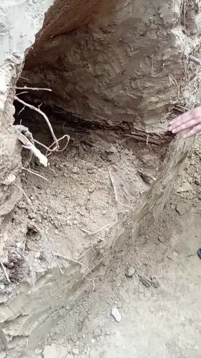 ������ ����������: ������������ � ����������� ������� ��������� �� ������ ������, � �������������� ������