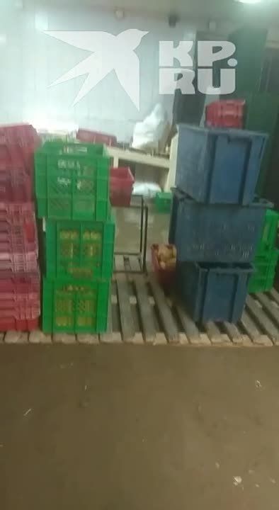 ���� ����� ����������� ������, ������� ��������� ������ ������ � �����