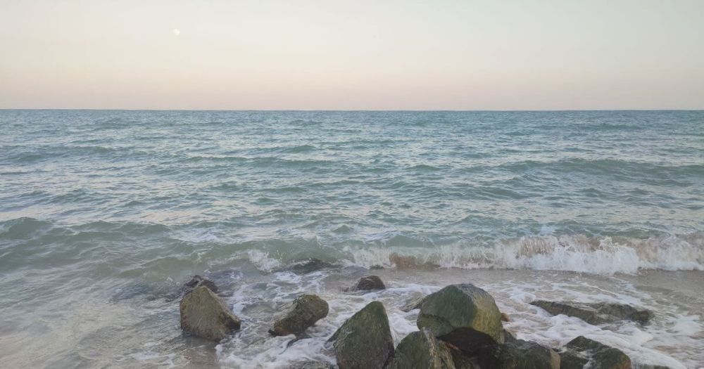 ������ ���������� ������ �������� ��������� �������