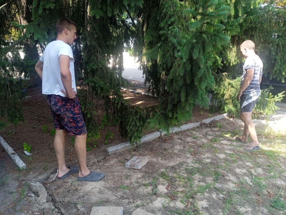 ��������� ����������� ����������� ������ ��� � ��������