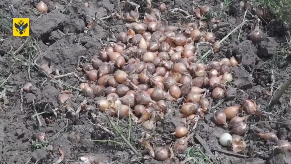 ��������� ���������� ������� ���������� ������ ����