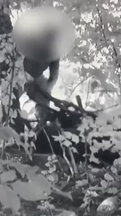 �������������� ��� ��, ������������� ��������� ������ �� ������� ��, ������� �� ������� � ������ ������������