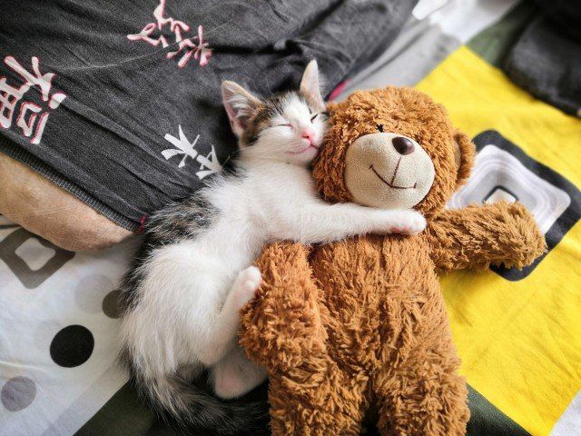 ������� ������, ������! ���� ������ ������� ������, ����� � ������� ���� ������