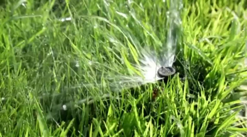 � ������ ������� 26 ���� �������� ��������������� �����