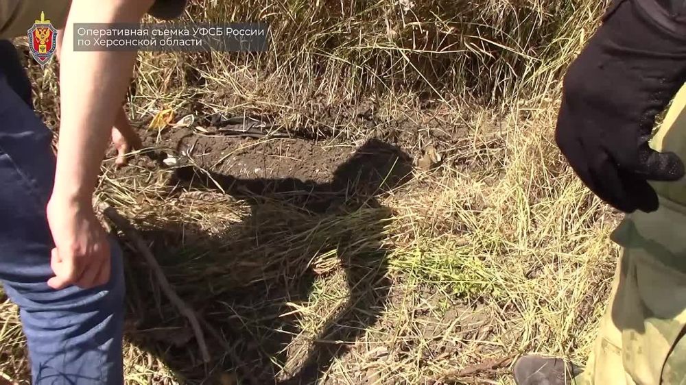 ���� ������ �� ���������� ������� � ������ ��������������� ����������� ������� ������ �� ���������� ����������� � �. ������������ ����������� ������ ������� ����� � �������, ������������ � ���������� ���������