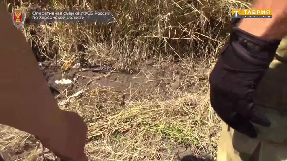 �� ���������� ���� �������� ����������� ������ ������� ����� � ������� � ������������