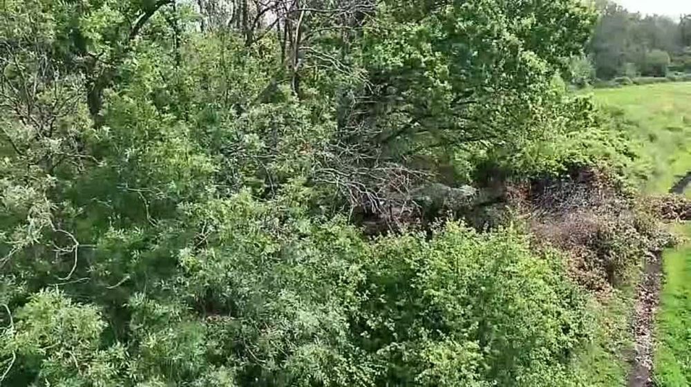 � ������� ����� ���������� ������ �������� ������� �������������� �������� ��� �� ����-��������, ��������������� � �������� ������������