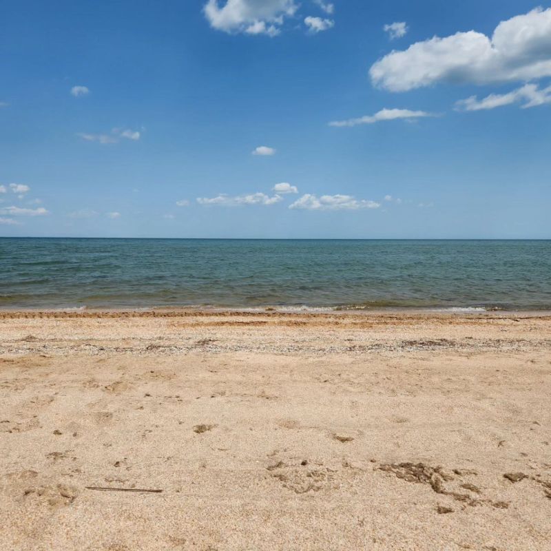 � ���������� ������� �������� �������������������� �������� ������� ����