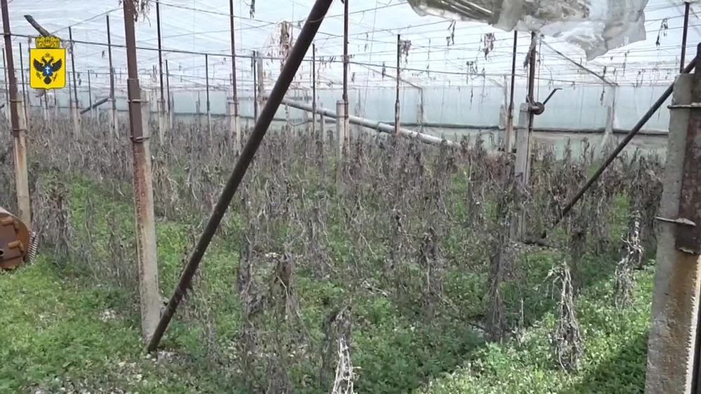 Завершение активной фазы ликвидации последствий затопления Херсонской области