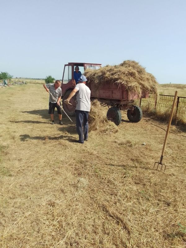 ������� ������� ��������������� ������