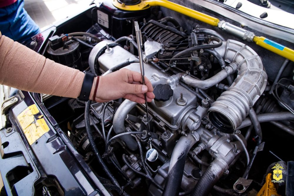 � ���. �������� ����������� ������� ������ ����������� ��������� ����������� ����� � ��������� ����������