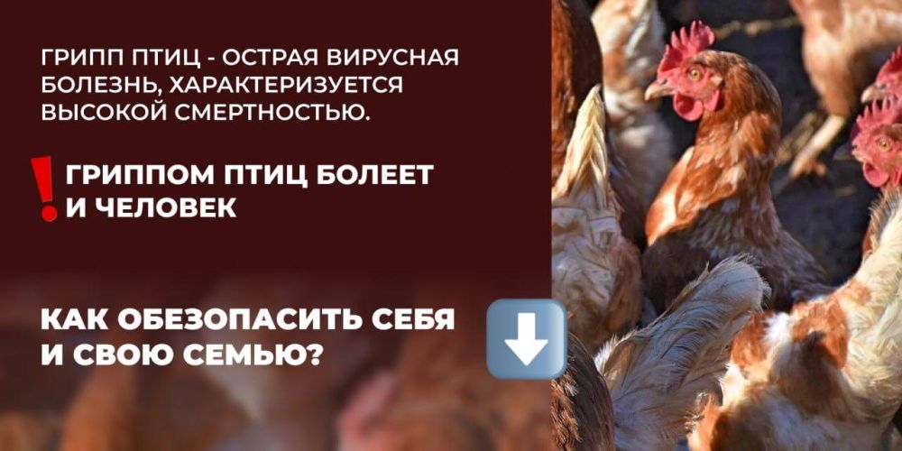 ��������� �������. ������������� ���������������� �� ����������� ��� � ����� ������������ �� ������ ����