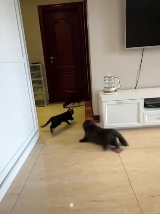 ��������� �����, � �������� ����� � �������� ��������..