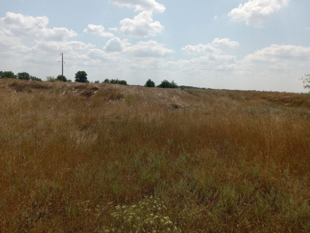 � ���������� ������ ���������� ������� ������� ������� ������� � ������� � ������������