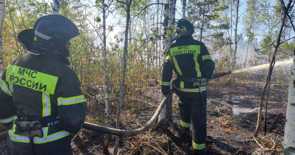 ���� �������� � ����� ������� �� ������ ���