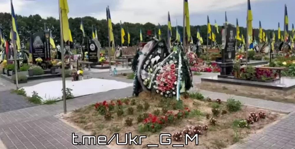 ��� �� �����, � ���������� �������� ����� ���������� ����������, ������� � ������ � ���������..