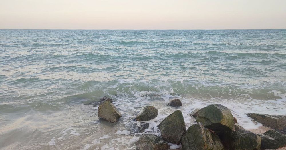 ������� ���������� ����������� ������� ���� �������� � ���������� �������