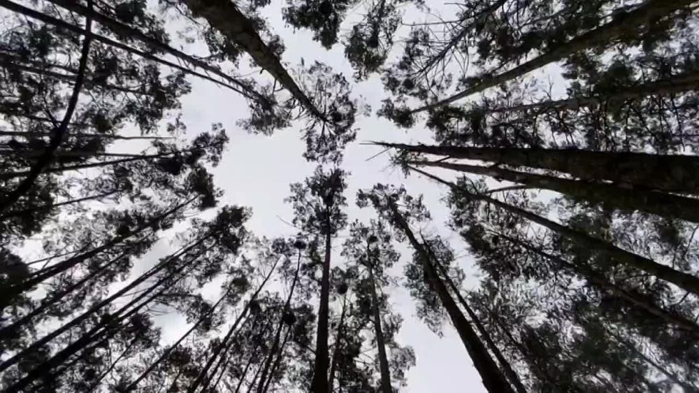 ��������� ���������� ������� �������� �� ��������� �����