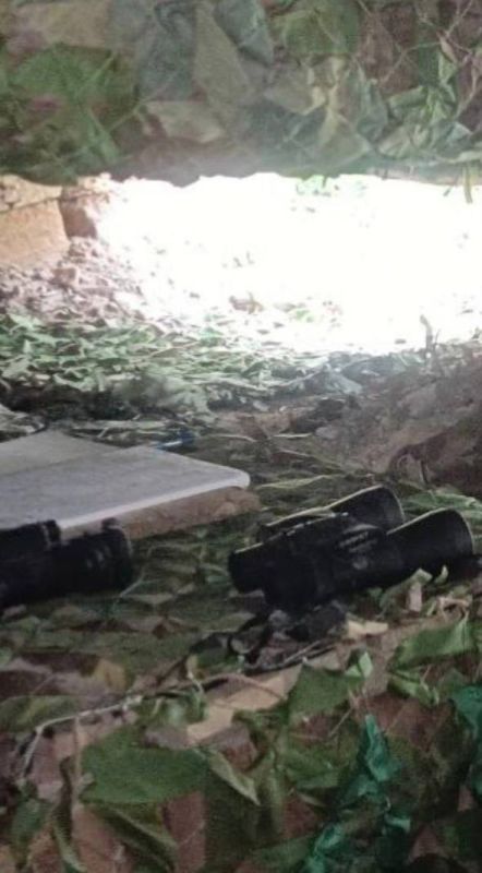 ���������� ����������� �� 20:30 28.07