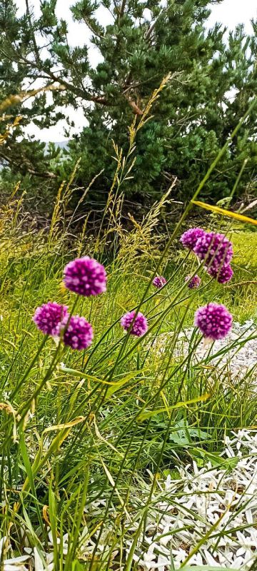 � ������ �����, �����������!