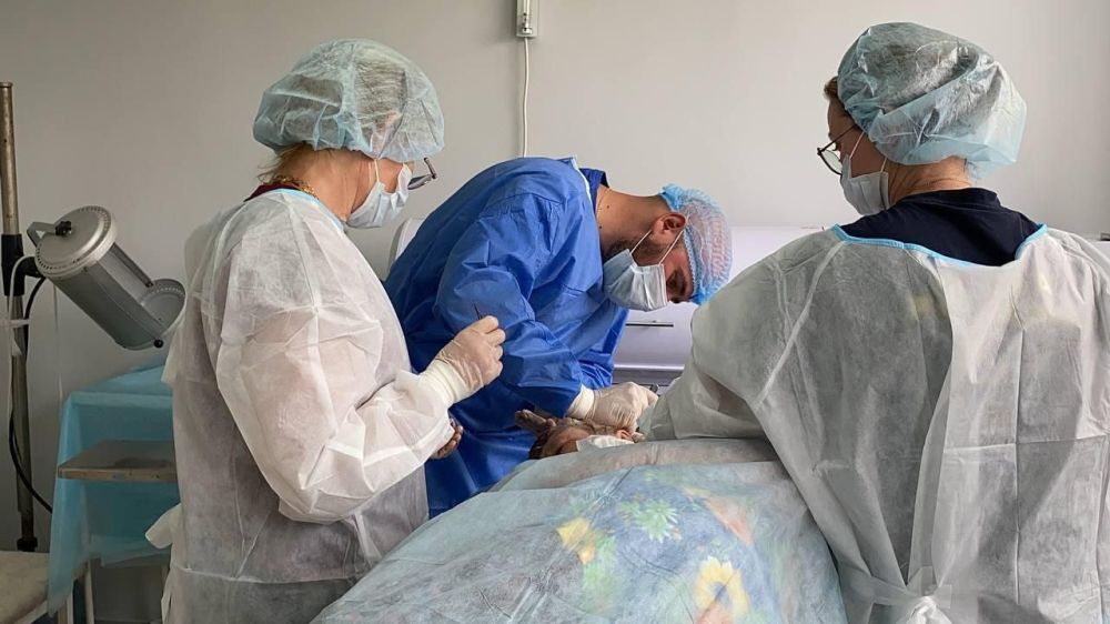 ������� ����������� ����� ���� ������ ���������� ��������� � ���������� �������