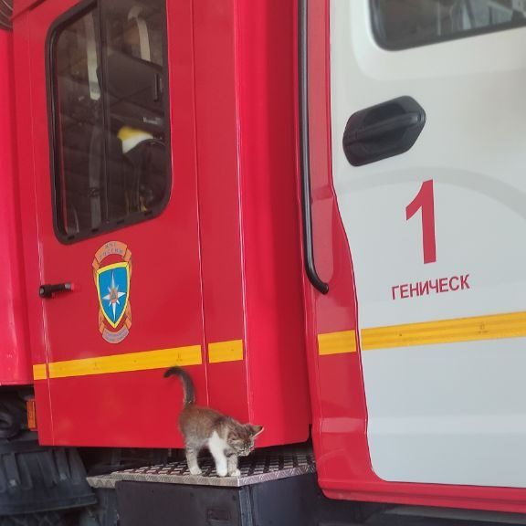 ���� ������� ����. � ������ #������� ���������� � ������ � ��������� ����-�������� ����� @mchs184