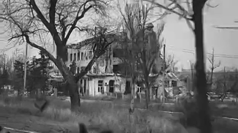 ���������� ����������� SHAMAN �������� ���� � ������� �� ���������