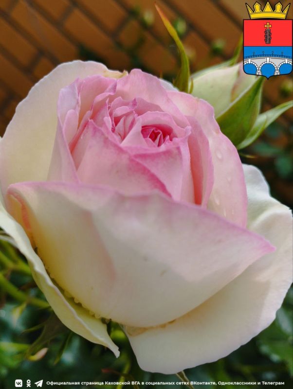 � ������ �����, �������!. ������ �������� ��������. ��������� ���� ���-�� �����������, �� �������� ��� ������� � ��������...