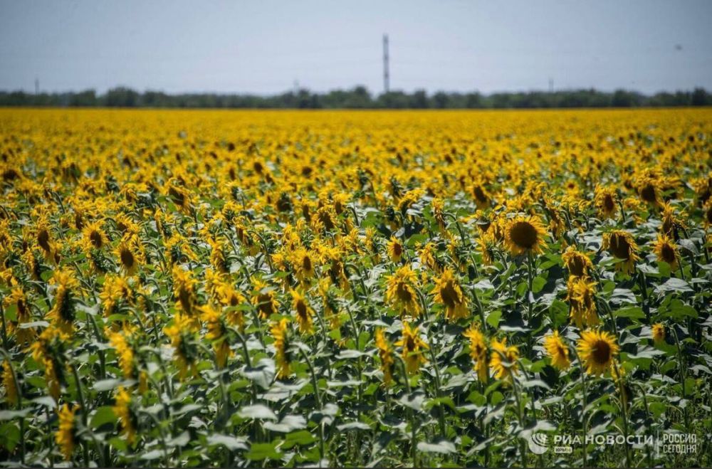 ������ �� ����� ����������� ������