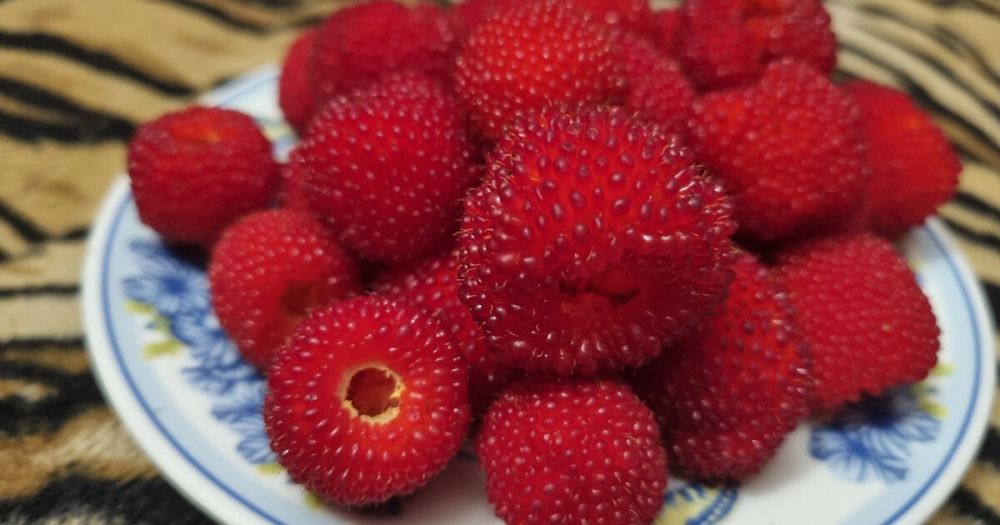 � ���������� ������� �������� �������������������� �������