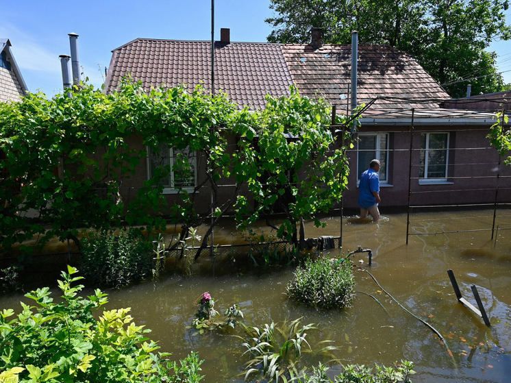 ������: ������� ���� ����� ������� ��������� ��� ������ ��������� ������