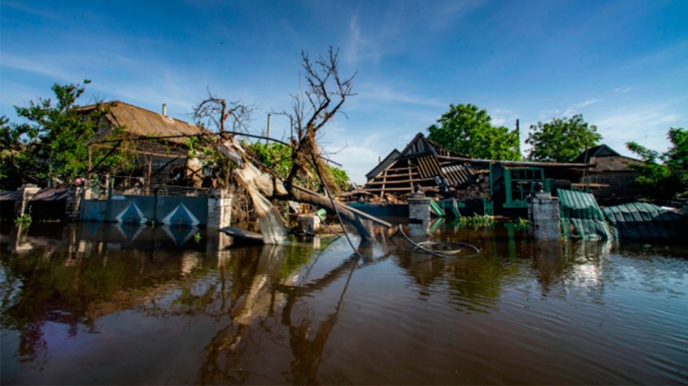 ������ ���������� ������� ������� ����� ������� ���� ����� ������� ��������� ���