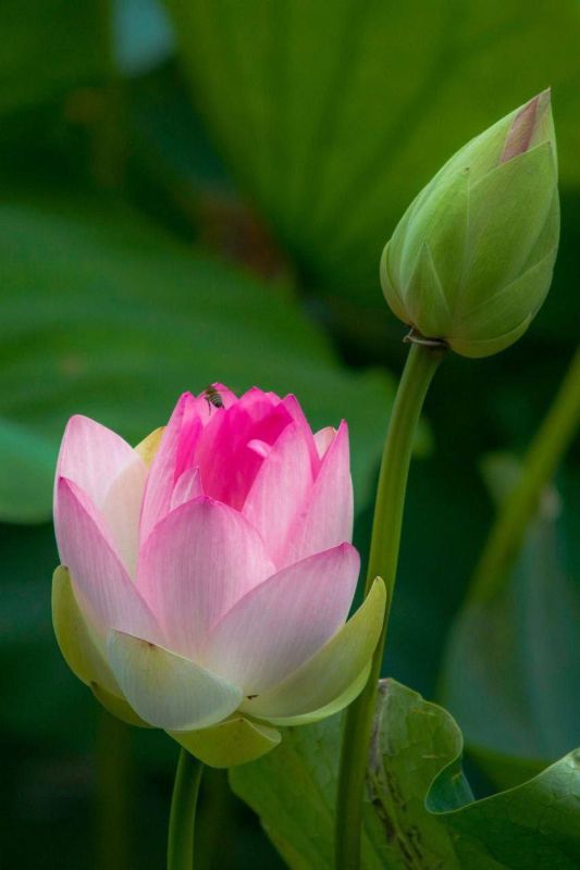 � ������ �����, �����������!