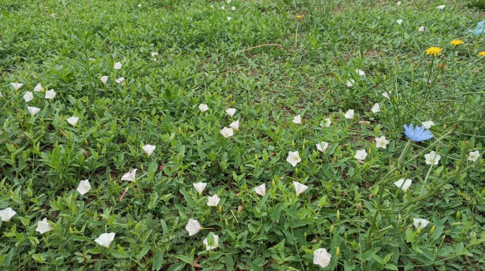 ��� ����� ������ � ����� ����� ����� ��������� ������������ ������� � ������� � ����� �����������