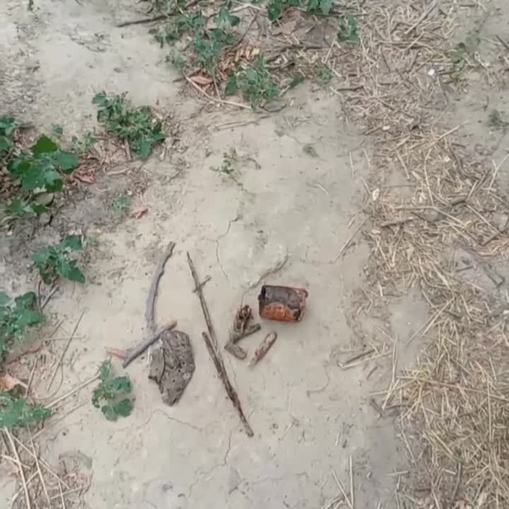 �������� ������ �����: �� ���������� ����������� ������� �� �� ������� ������� ������� ��������������